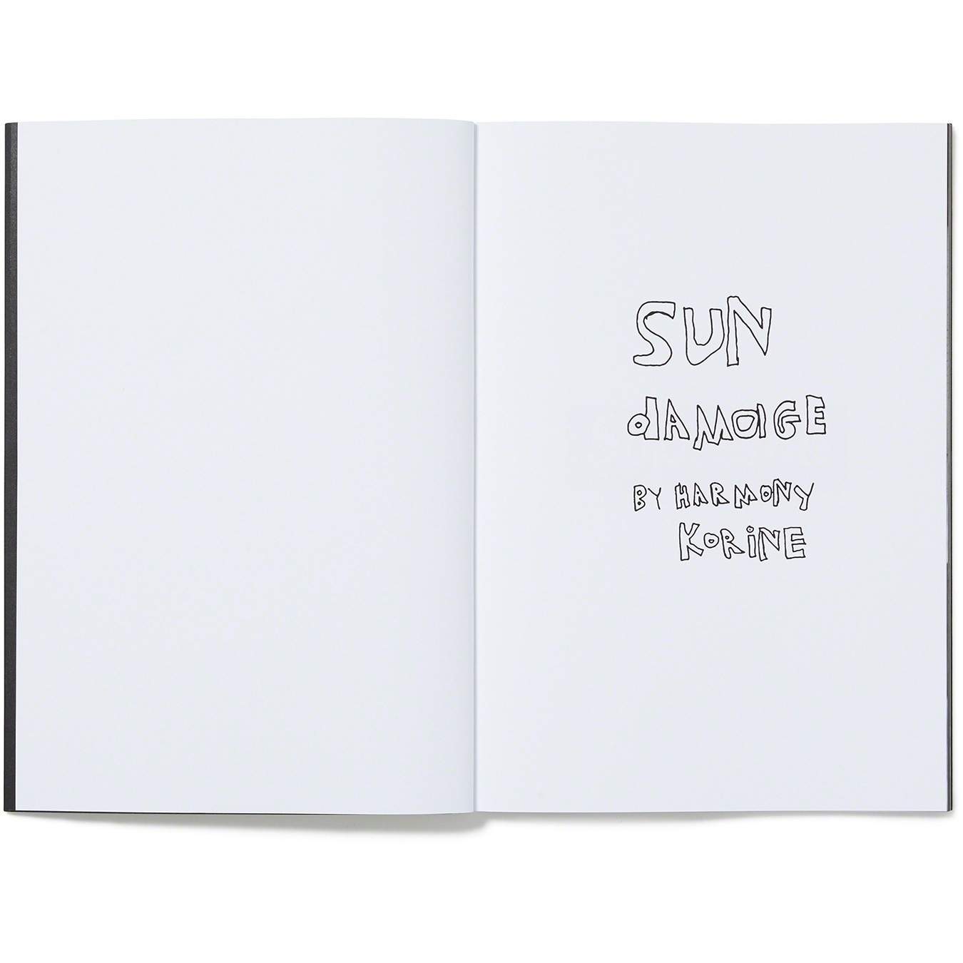 Sun Damage by Harmony Korine view 4
